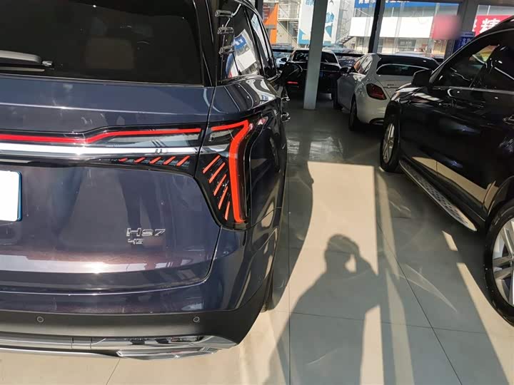 Фото 8 - Hongqi HS7