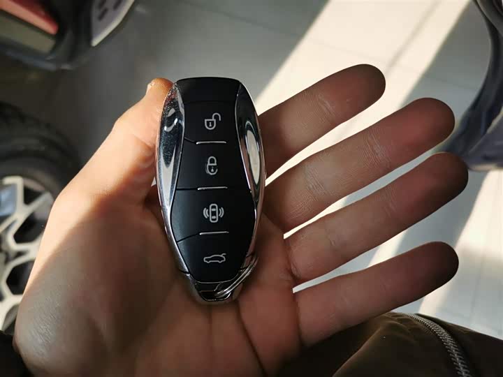 Фото 9 - Hongqi HS7