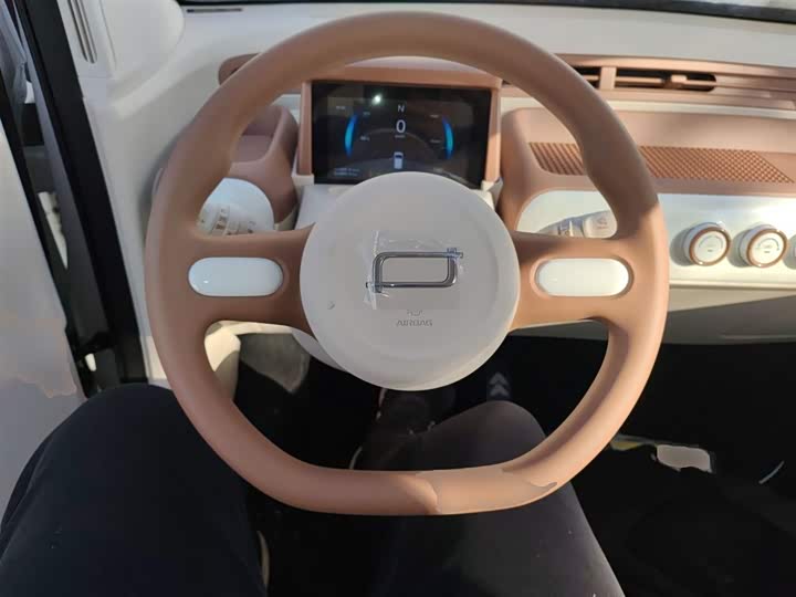 Фото 3 - Bestune Pony