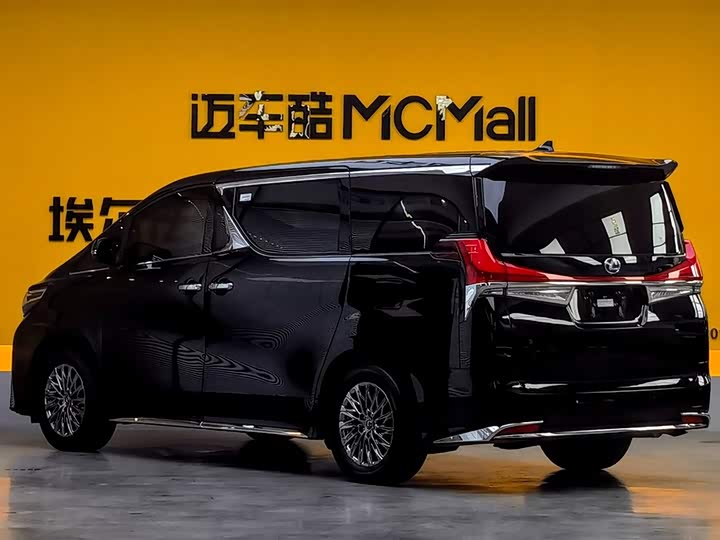 Фото 6 - Lexus LM