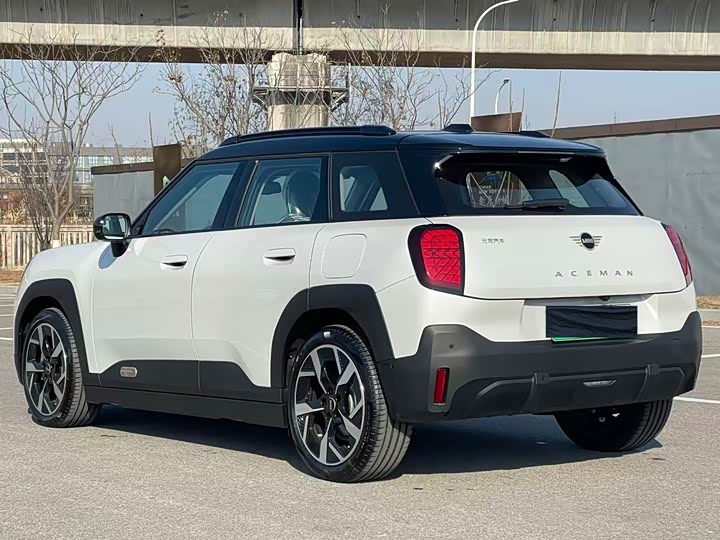 Фото 4 - Mini Aceman