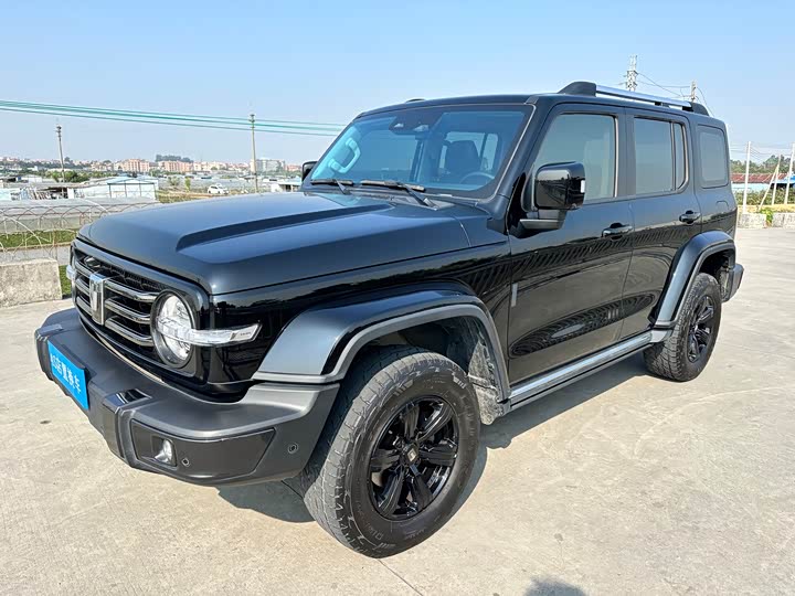 Фото 1 - Tank 300