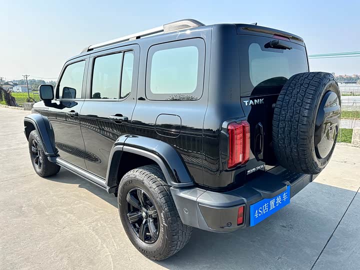 Фото 4 - Tank 300