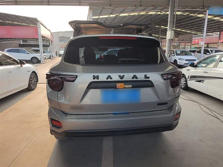 Фото 6 - Haval H-Dog