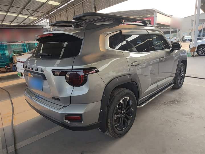 Фото 7 - Haval H-Dog