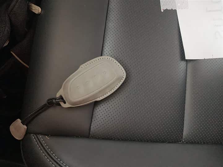 Фото 9 - Haval H-Dog