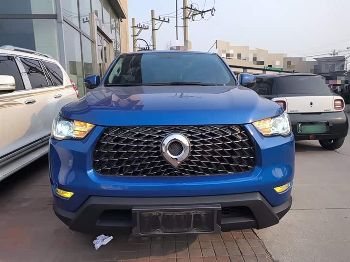 Фото 3 - Great Wall Pao