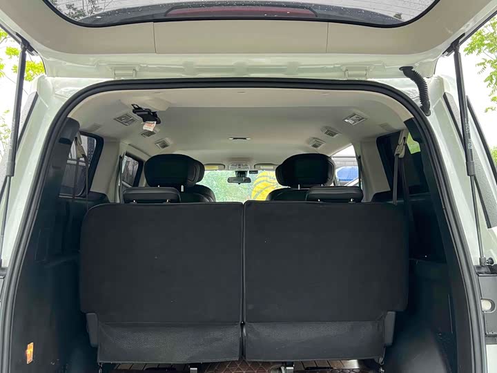 Фото 5 - Maxus G20