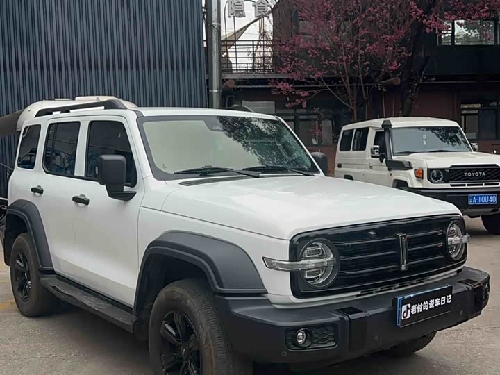 Фото 3 - Tank 300