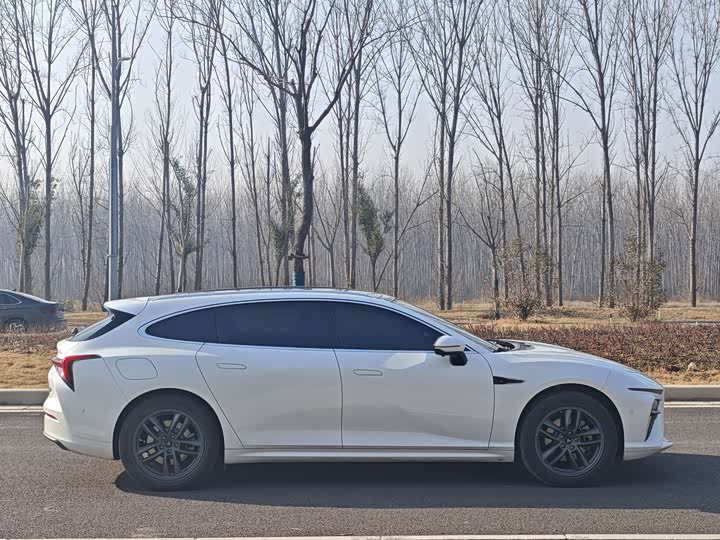 Фото 4 - Hozon S Hunting