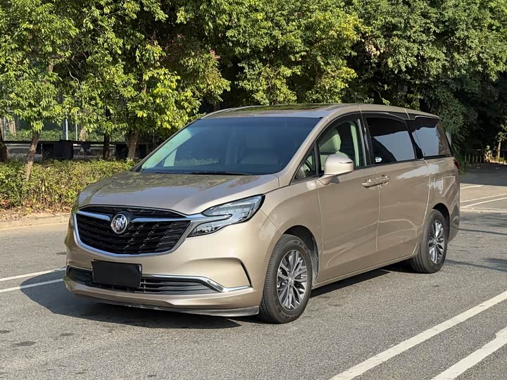 Фото 1 - Buick GL8 ES