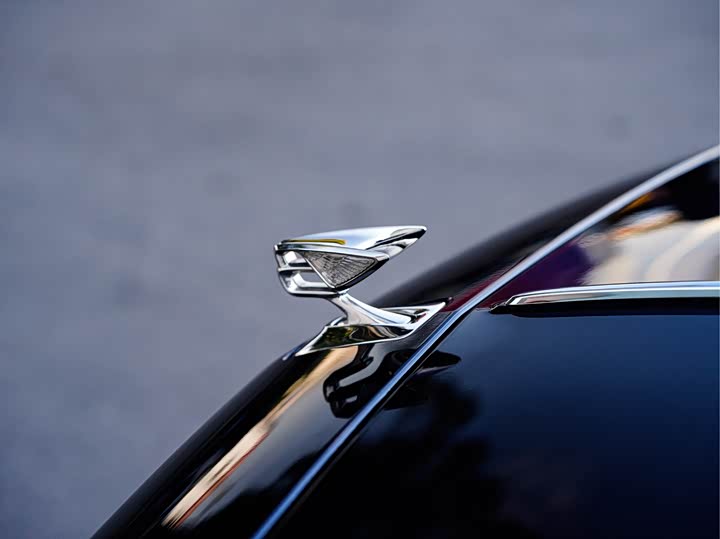 Фото 5 - Bentley Flying Spur