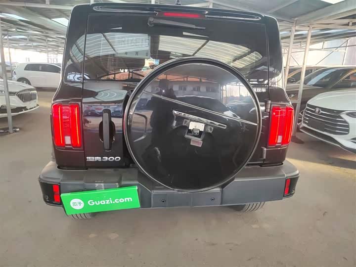 Фото 6 - Tank 300