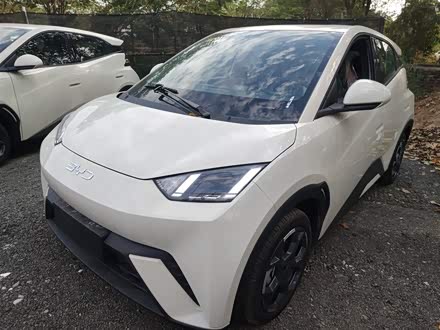 Фото 1 - BYD Seagull