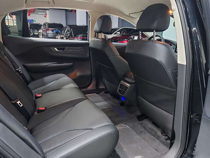 Фото 4 - Hongqi E-QM5