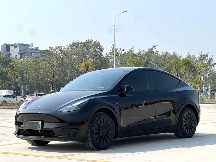 Фото 1 - Tesla Model Y