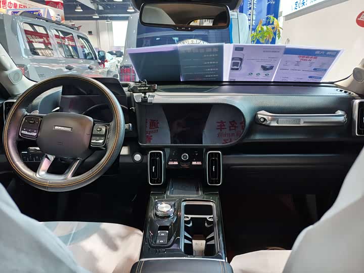 Фото 5 - Haval Dargo