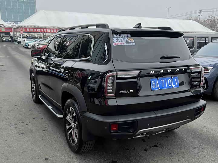Фото 7 - Haval Dargo