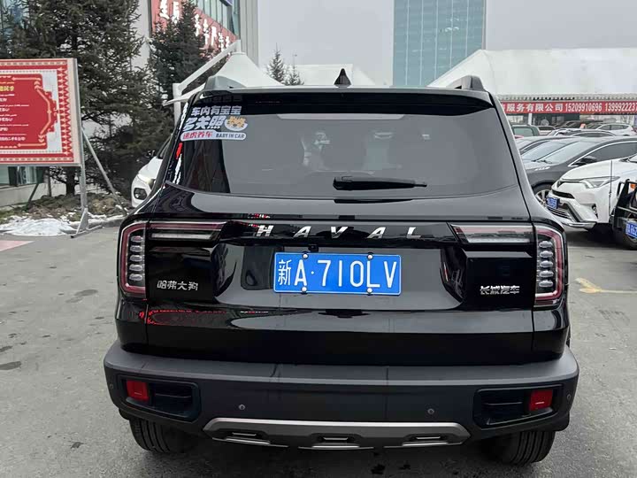 Фото 8 - Haval Dargo