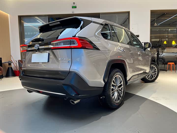 Фото 6 - Toyota Wildlander