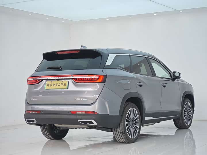 Фото 4 - Jetour Shanhai L9