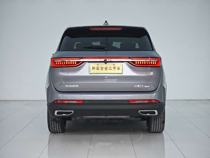 Фото 5 - Jetour Shanhai L9