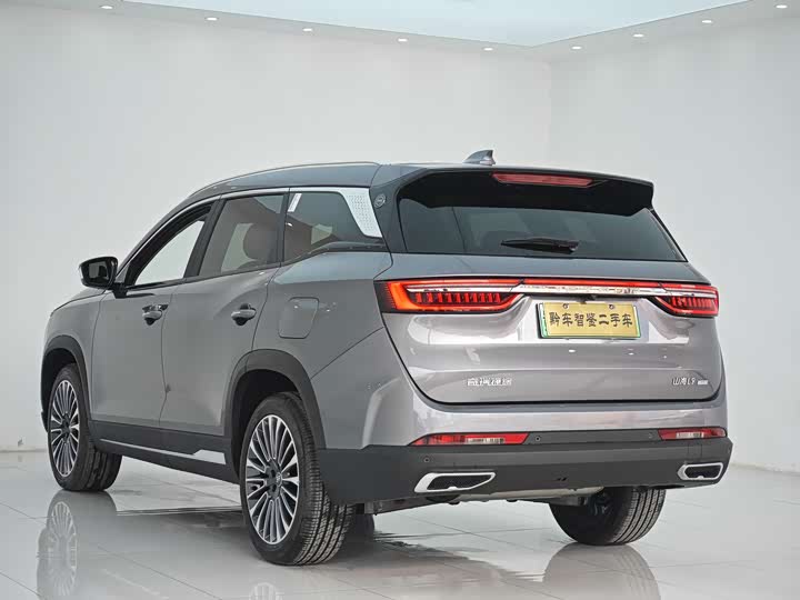 Фото 6 - Jetour Shanhai L9