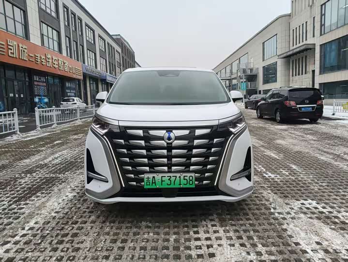 Фото 1 - Denza D9