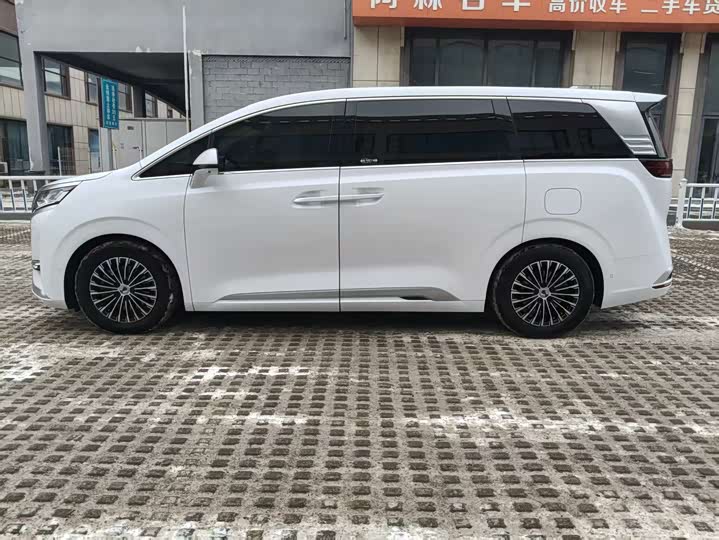 Фото 4 - Denza D9