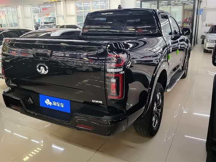 Фото 3 - Great Wall Pao