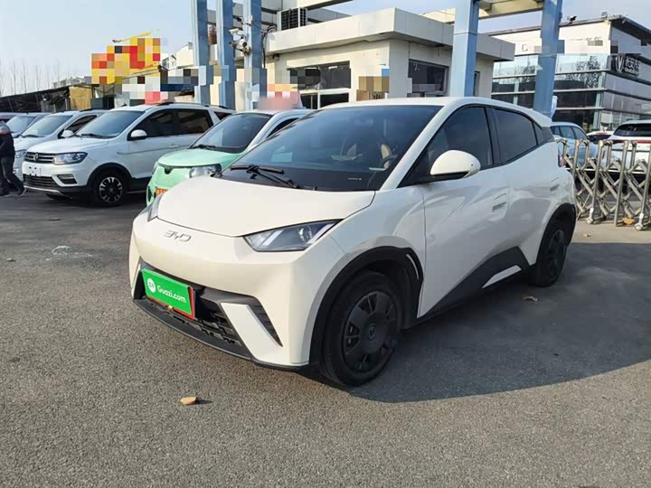 Фото 2 - BYD Seagull