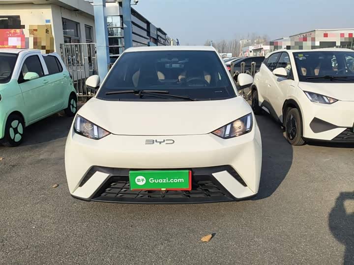 Фото 3 - BYD Seagull