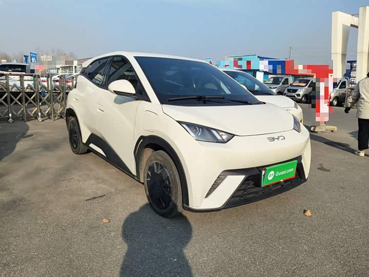 Фото 4 - BYD Seagull