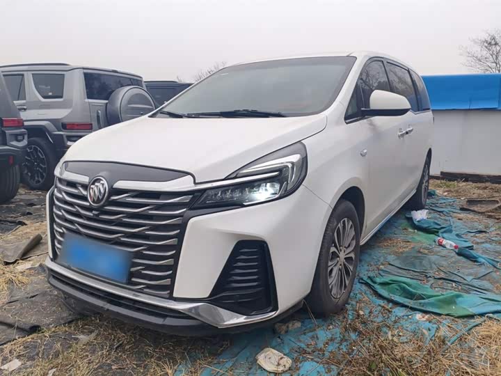 Фото 2 - Buick GL8 ES