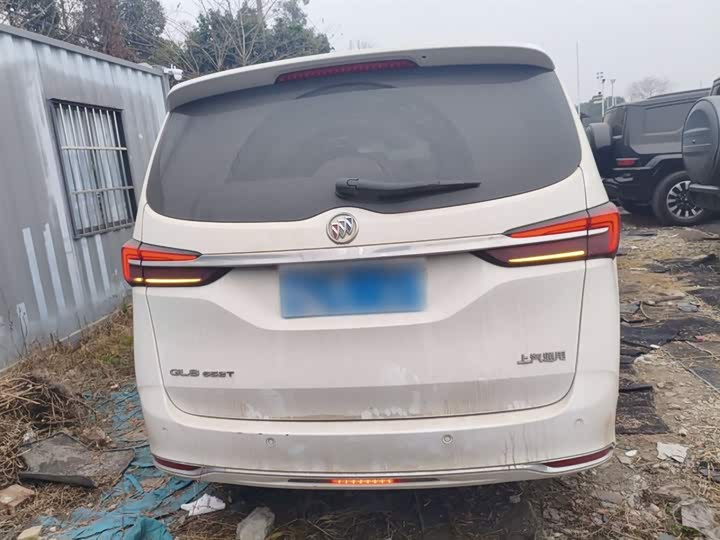 Фото 6 - Buick GL8 ES