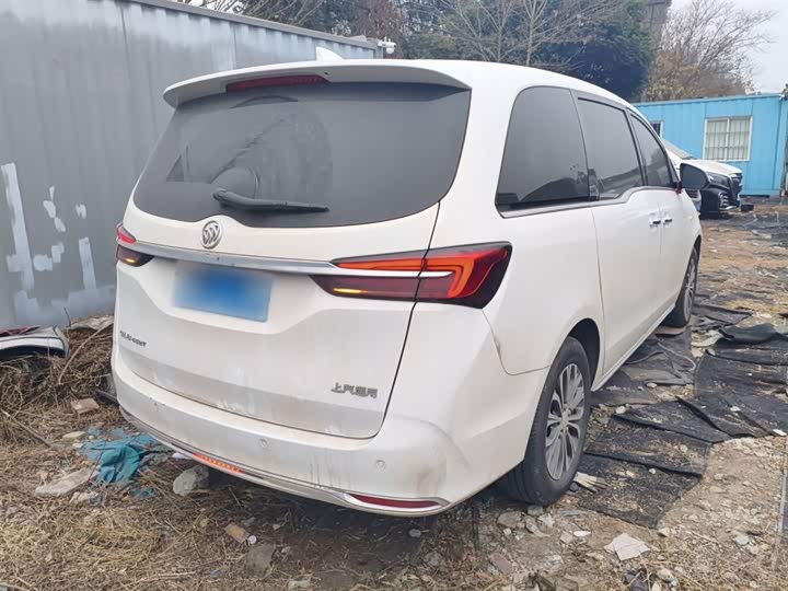 Фото 7 - Buick GL8 ES