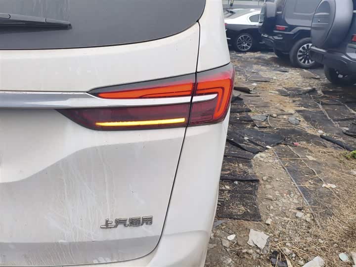 Фото 8 - Buick GL8 ES