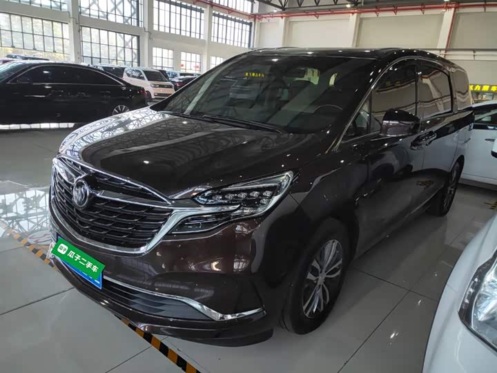 Фото 2 - Buick GL8 ES