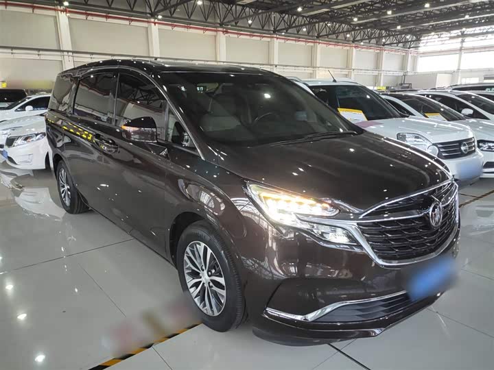 Фото 4 - Buick GL8 ES