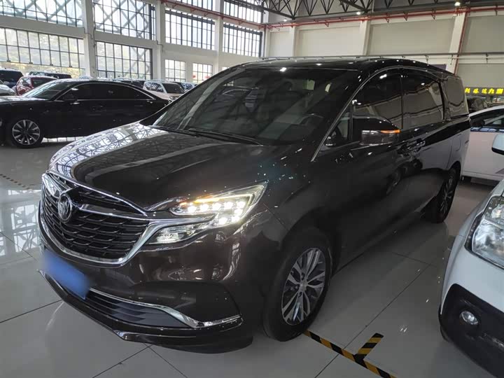 Фото 5 - Buick GL8 ES