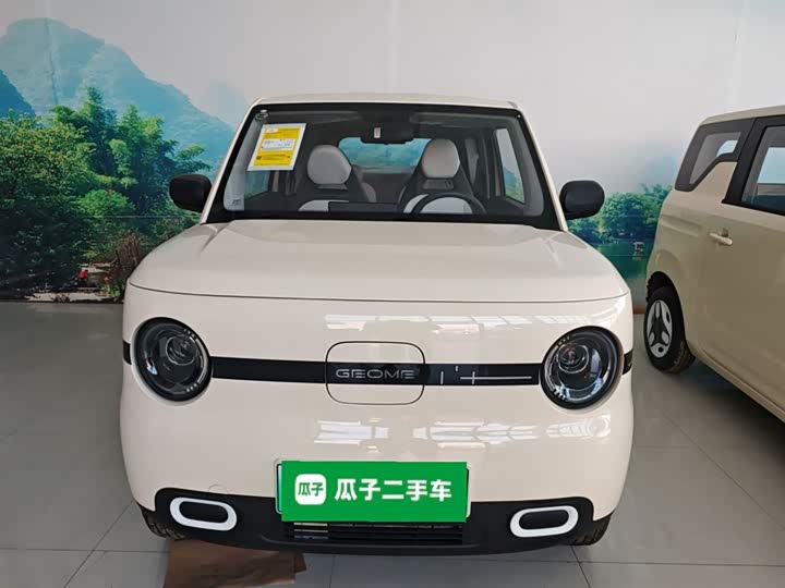 Фото 3 - Geely Galaxy Panda Mini