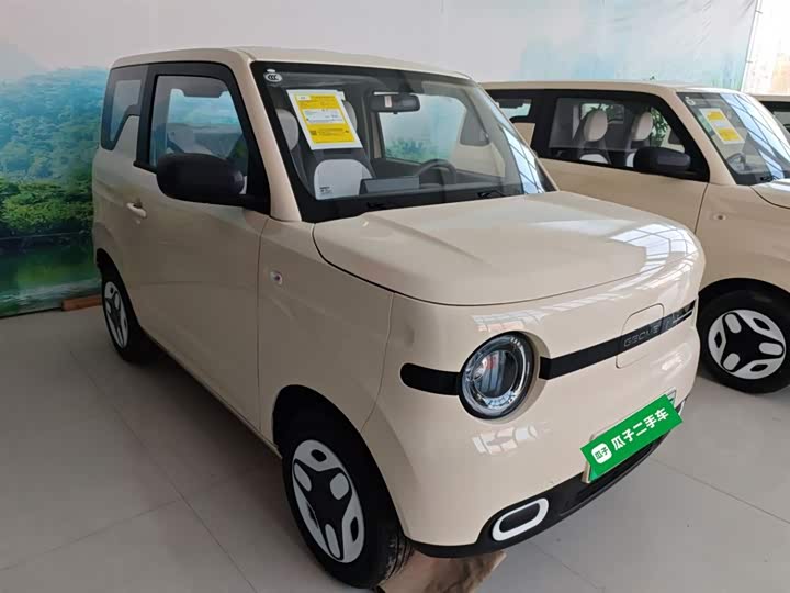 Фото 4 - Geely Galaxy Panda Mini