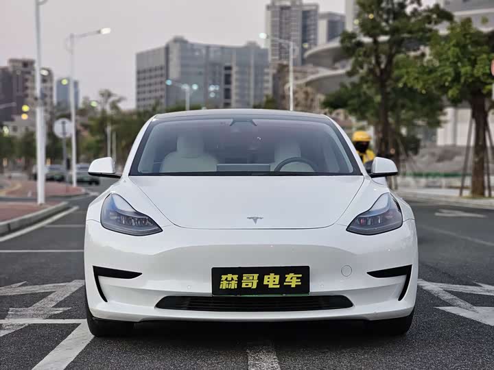 Фото 2 - Tesla Model 3