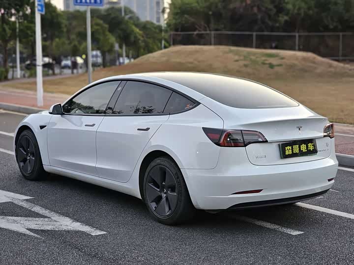 Фото 6 - Tesla Model 3
