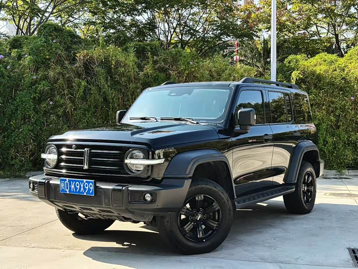 Фото 1 - Tank 300