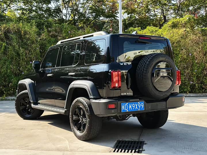 Фото 6 - Tank 300