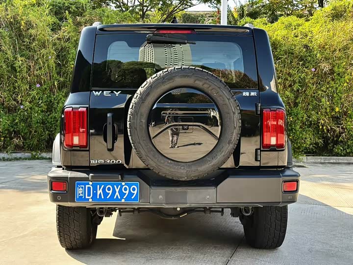 Фото 7 - Tank 300