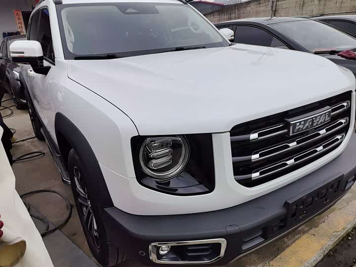 Фото 3 - Haval Dargo