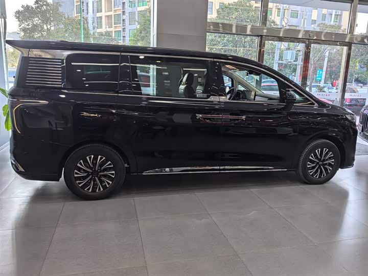 Фото 4 - Hongqi HQ9 Hybrid