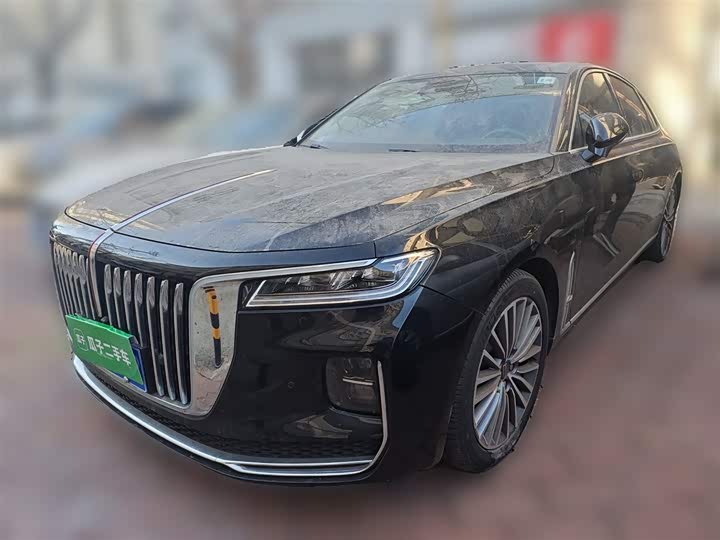 Фото 1 - Hongqi H9